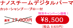 BACKSTAGÉwimX`[fW^p[}x 8,500~iō8,925~j